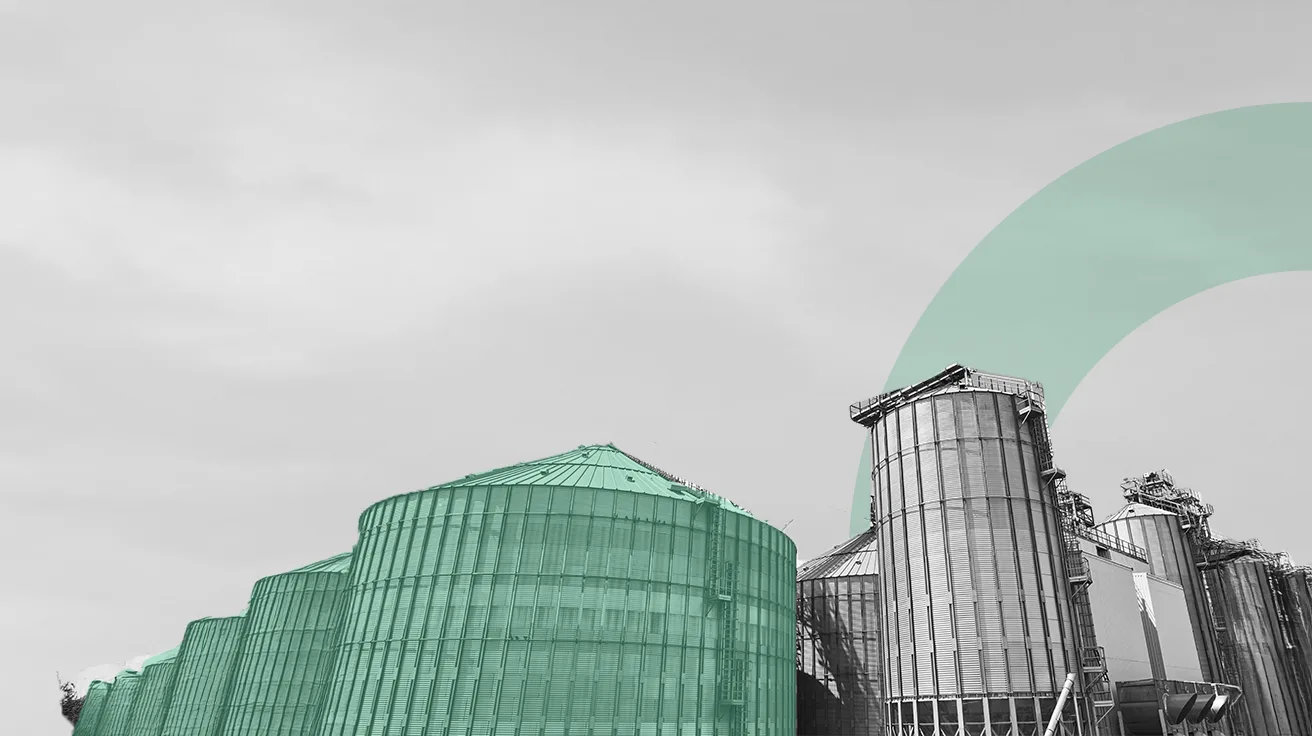 Net zero carbon accounting