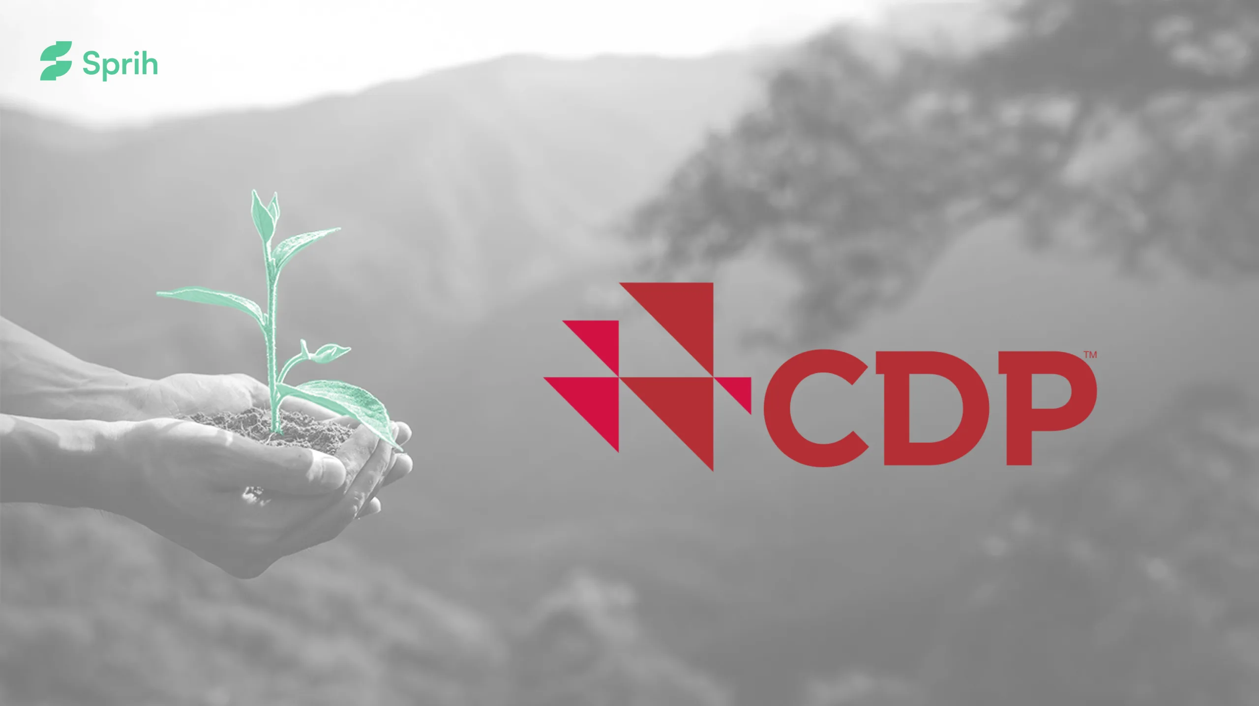 CDP reporting guide 2026 — questionnaire scoring A-list enterprise submission